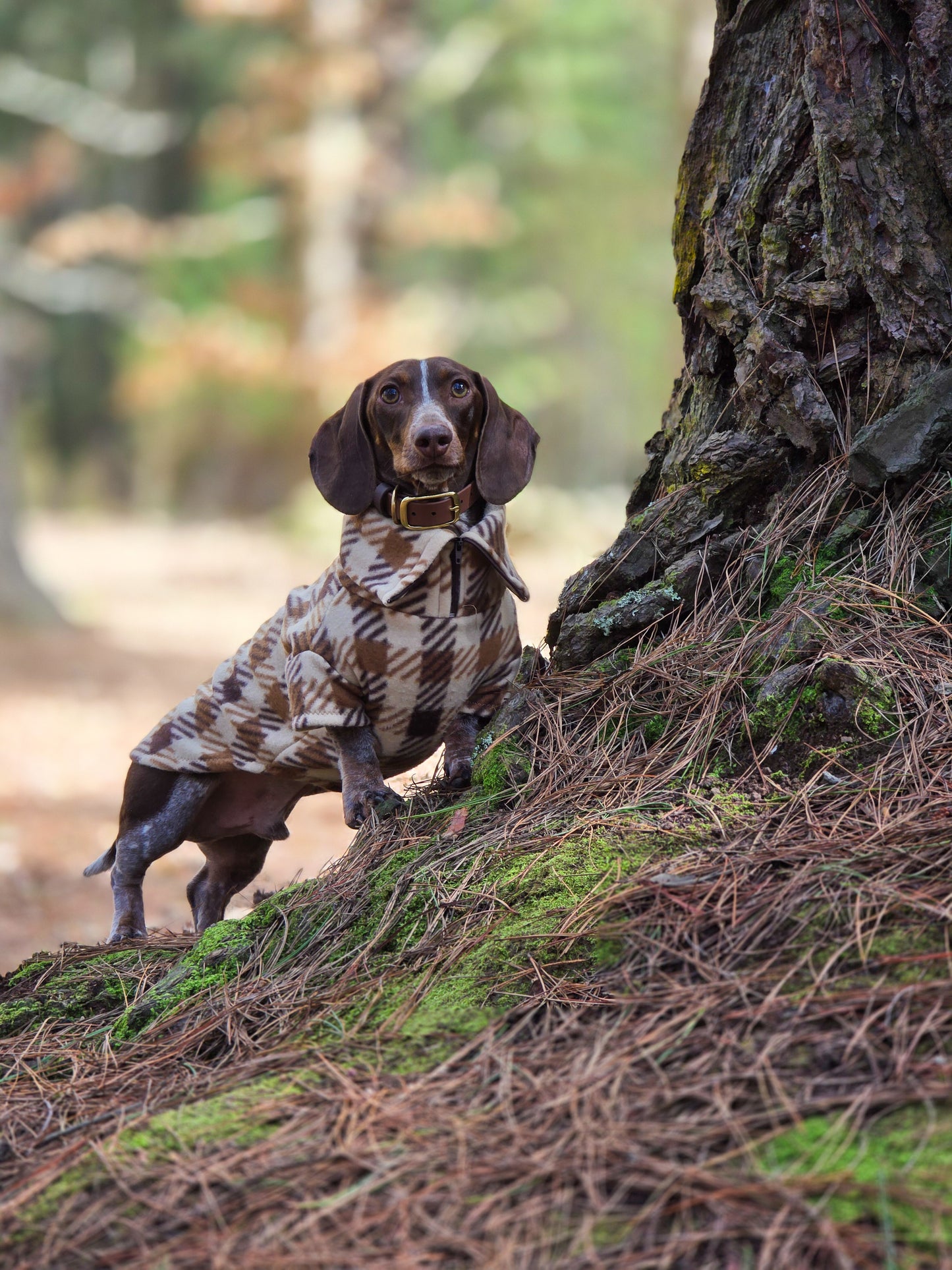Brown Plaid Quarter Zip Fleece Jumper