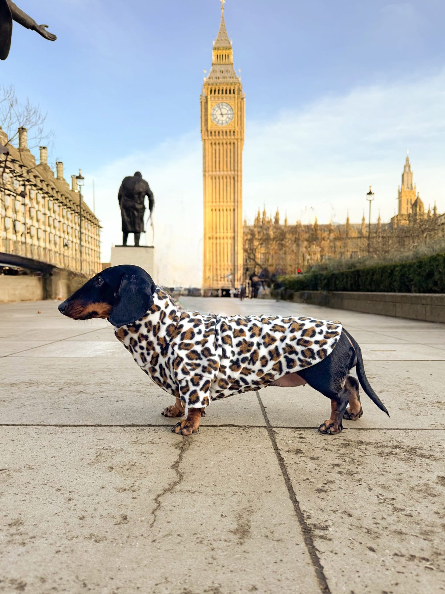 Snow Leopard Fleece Jumper