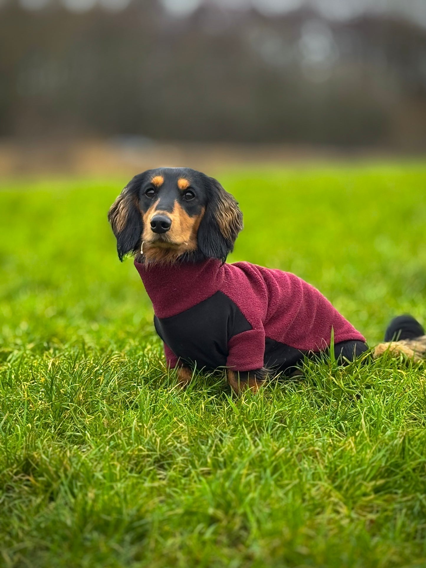Wine Fleece Jumper