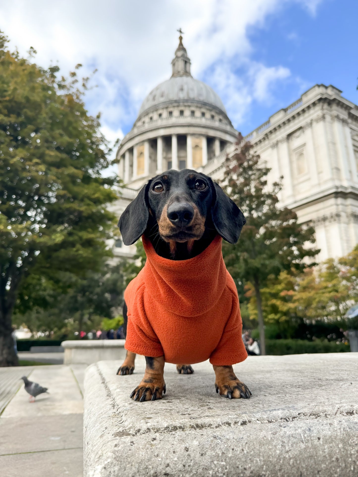 Rust Fleece Jumper