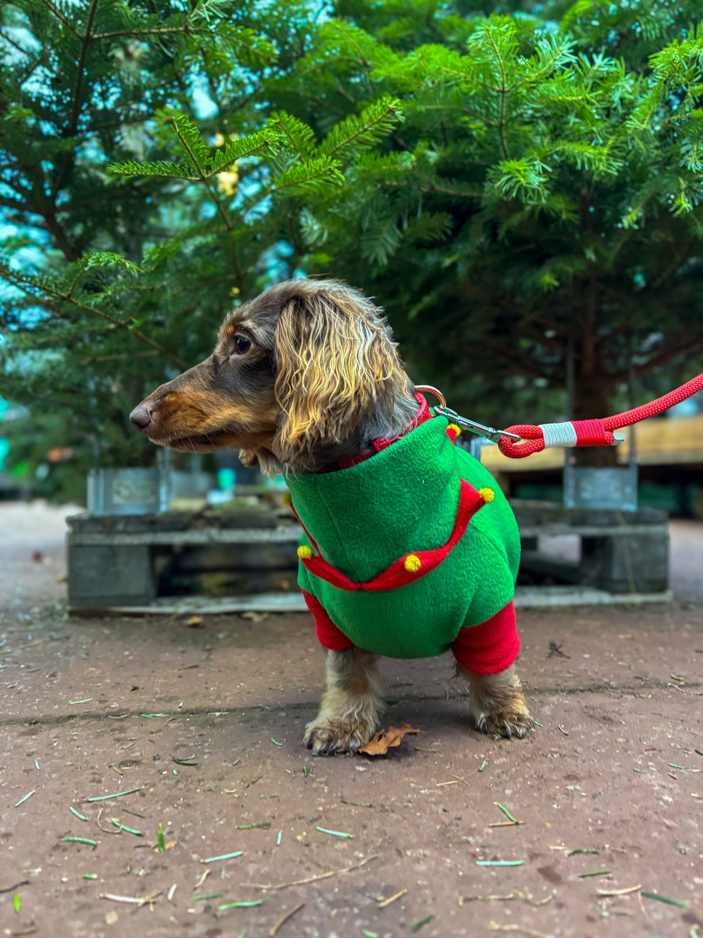 Elf Fleece Jumper