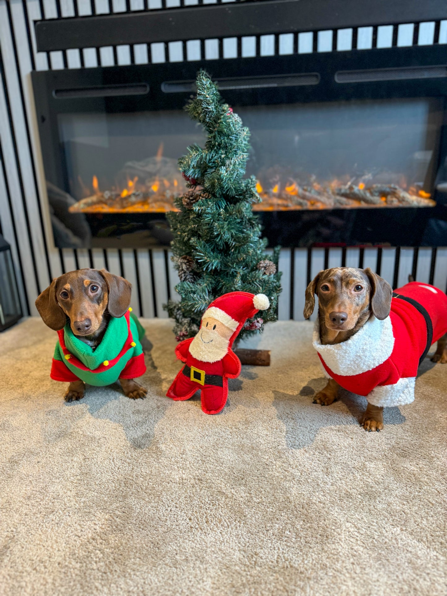 Santa Paws Fleece Jumper
