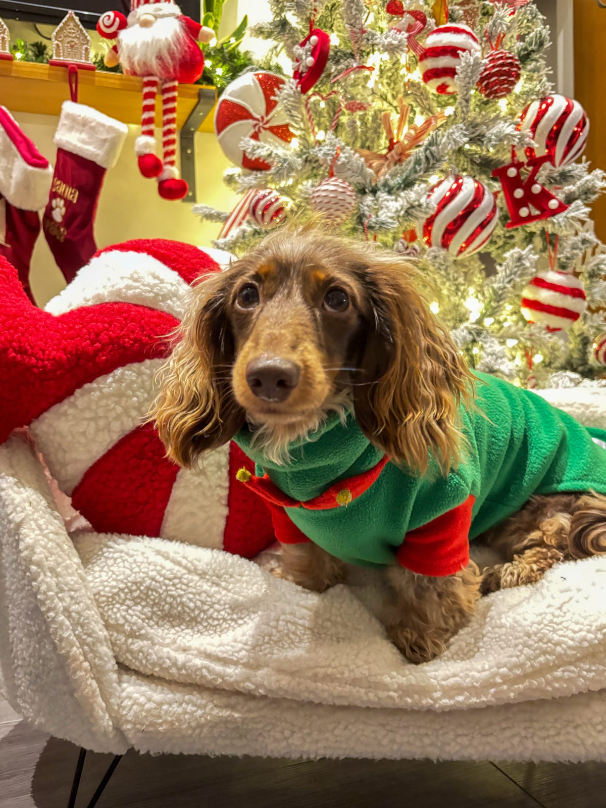 Elf Fleece Jumper