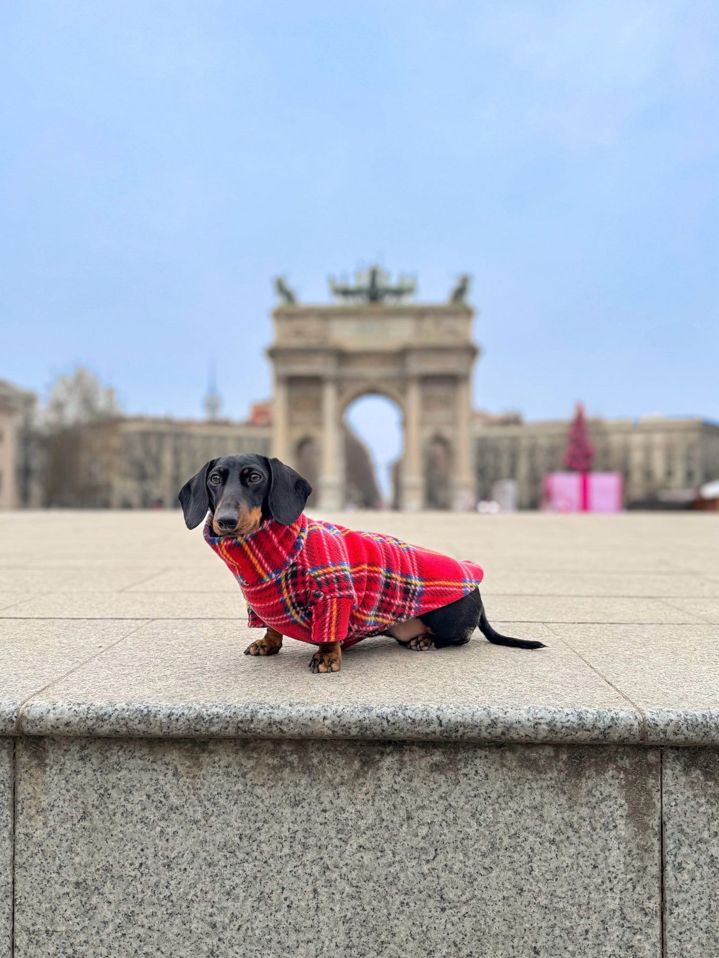 Red Tartan Fleece Jumper