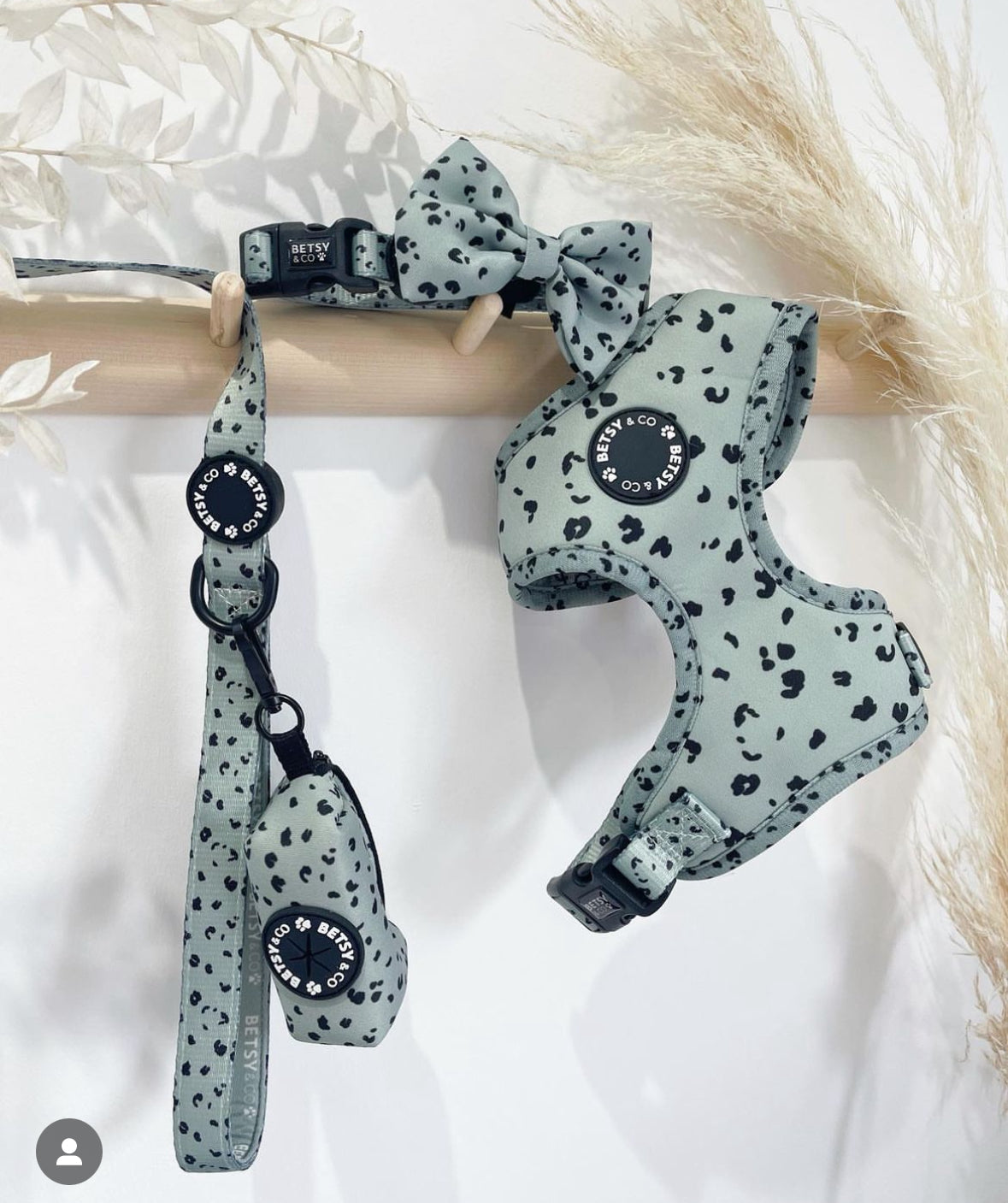 Khaki Leopard Collar