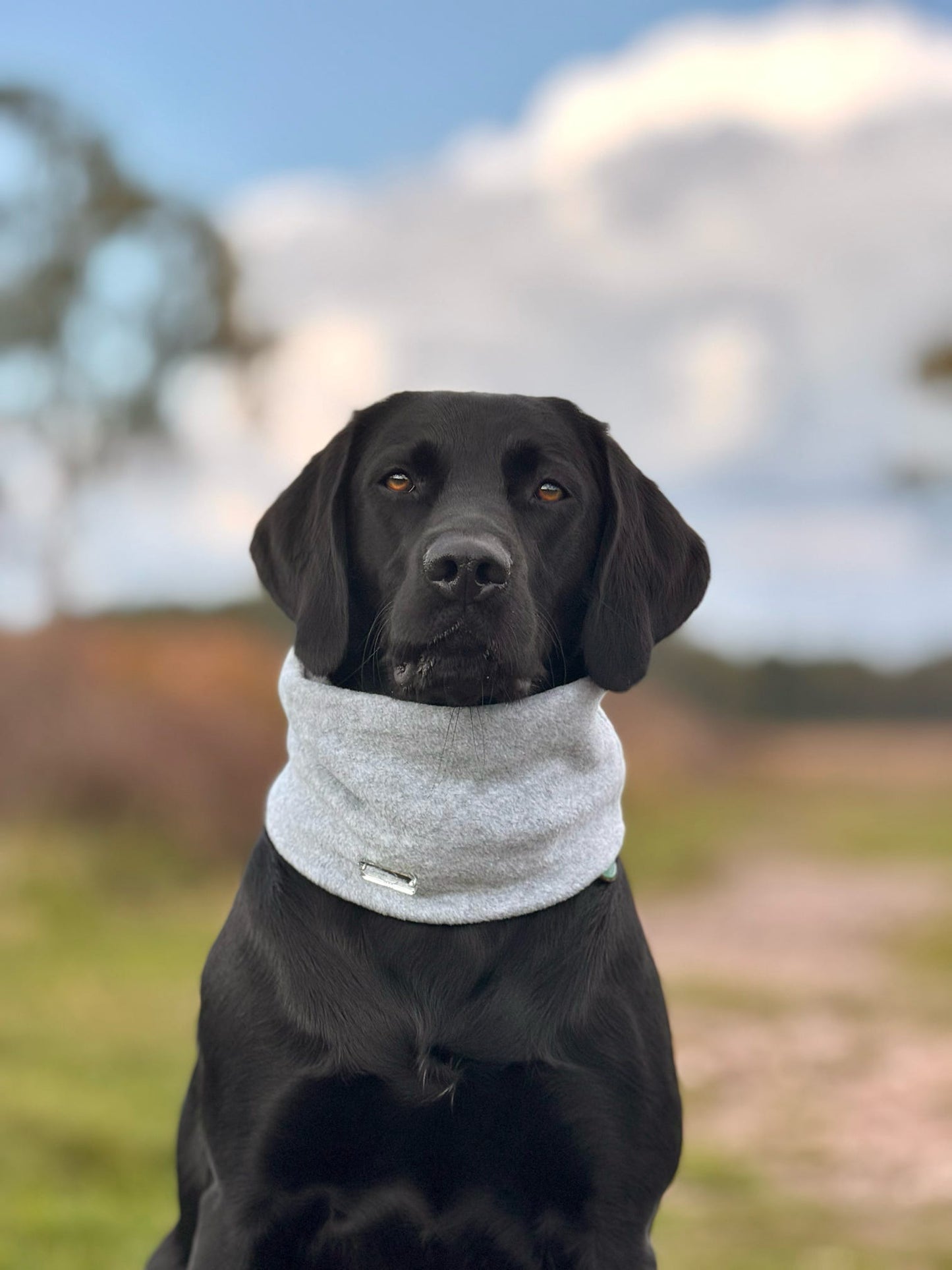 Light Grey Fleece Snood