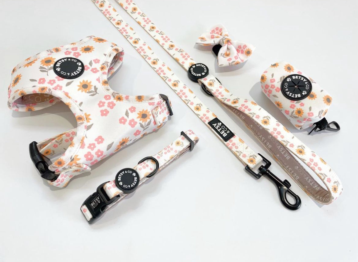 Sunflowers & Daisy Collar