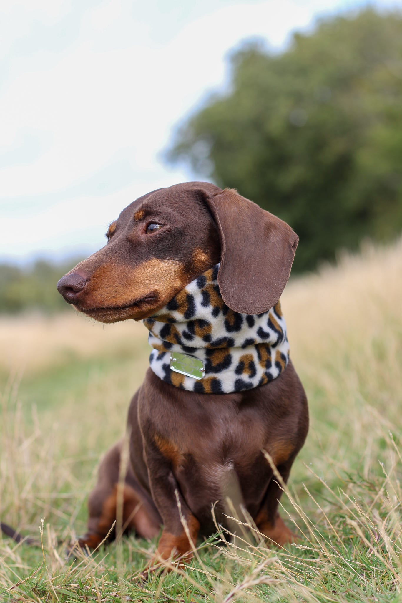 Snow Leopard Fleece Snood