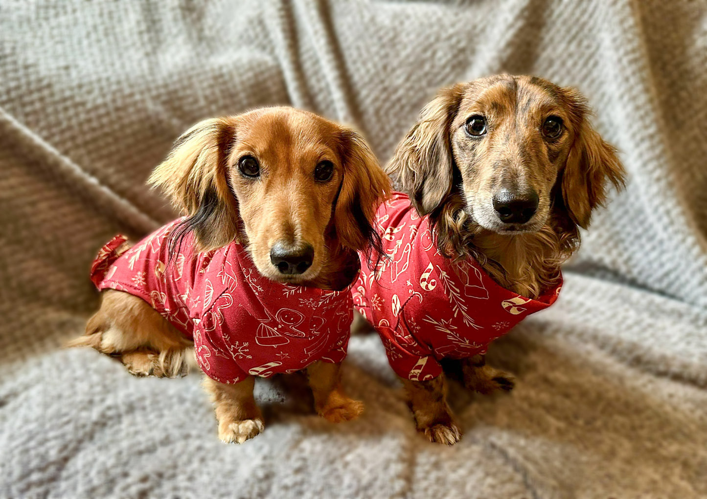 Christmas Gingerbread Man Cotton Jersey Jammies