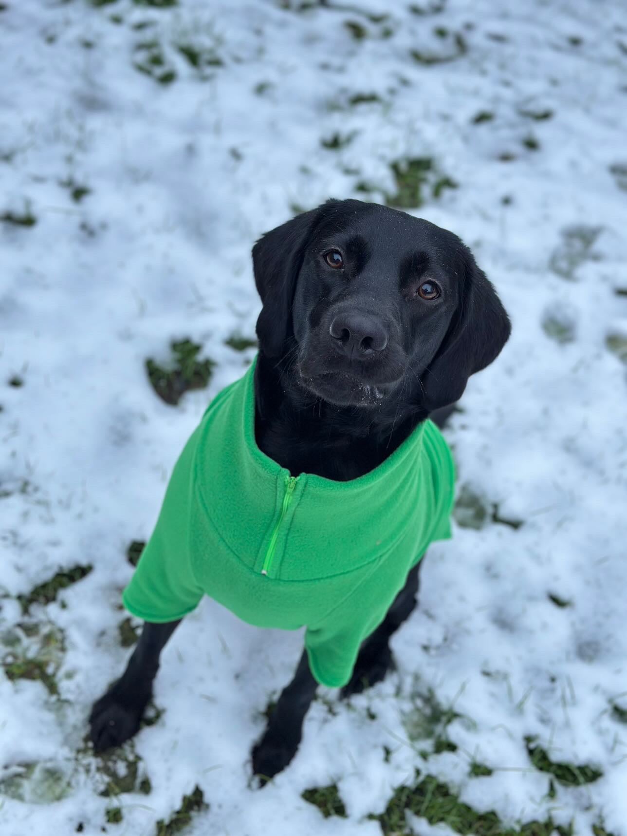 Emerald Quarter Zip Fleece Jumper