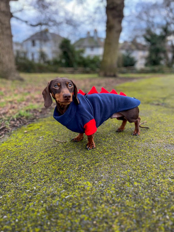 Jurassic Bark Fleece Jumper