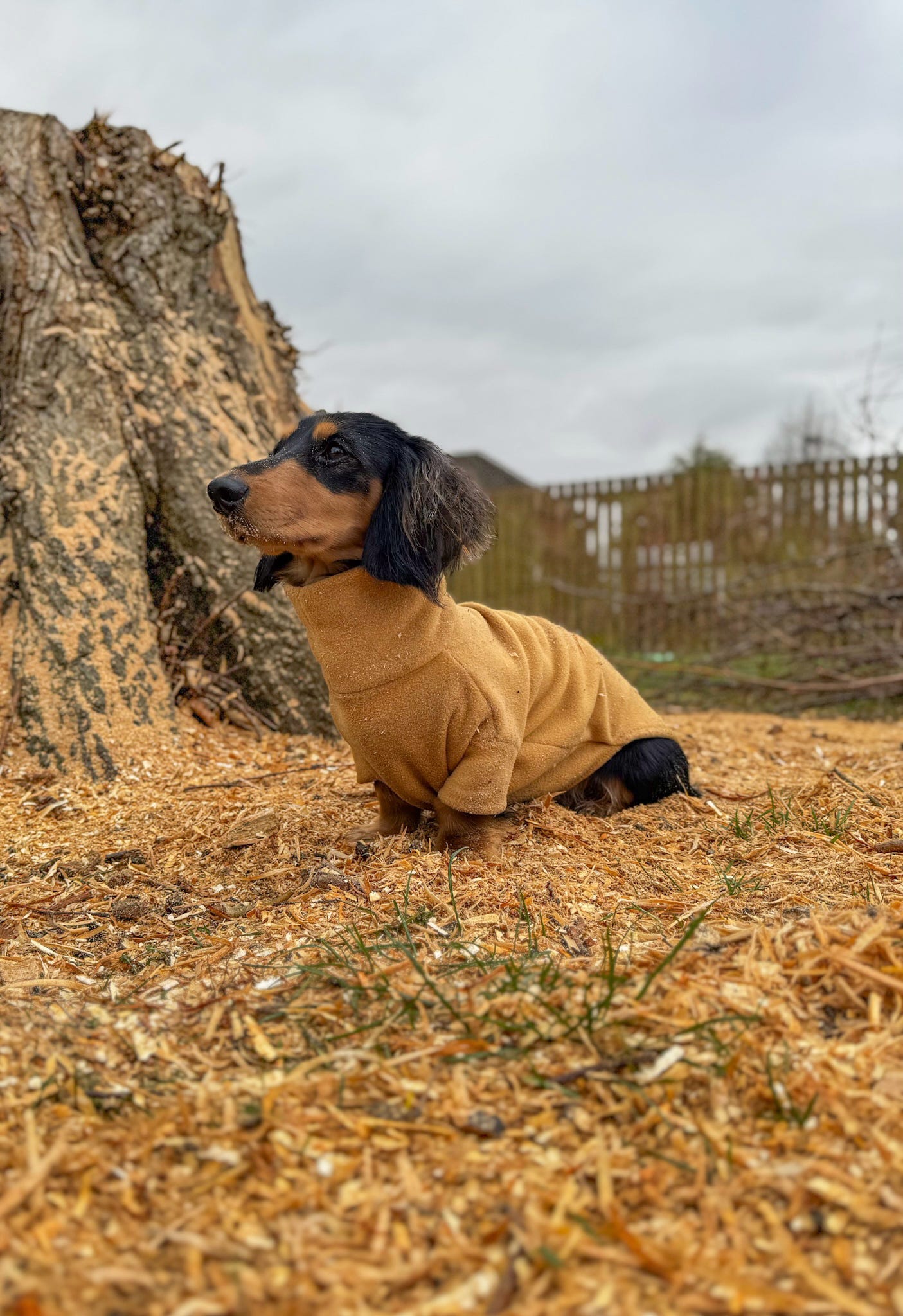 Mustard Fleece Jumper
