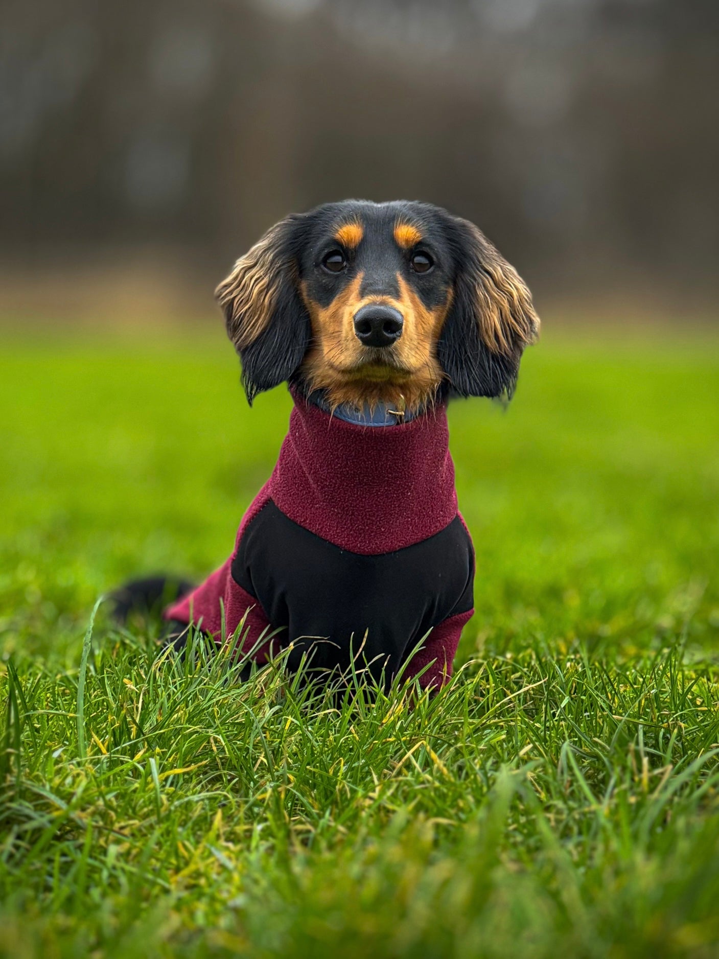 Wine Fleece Jumper
