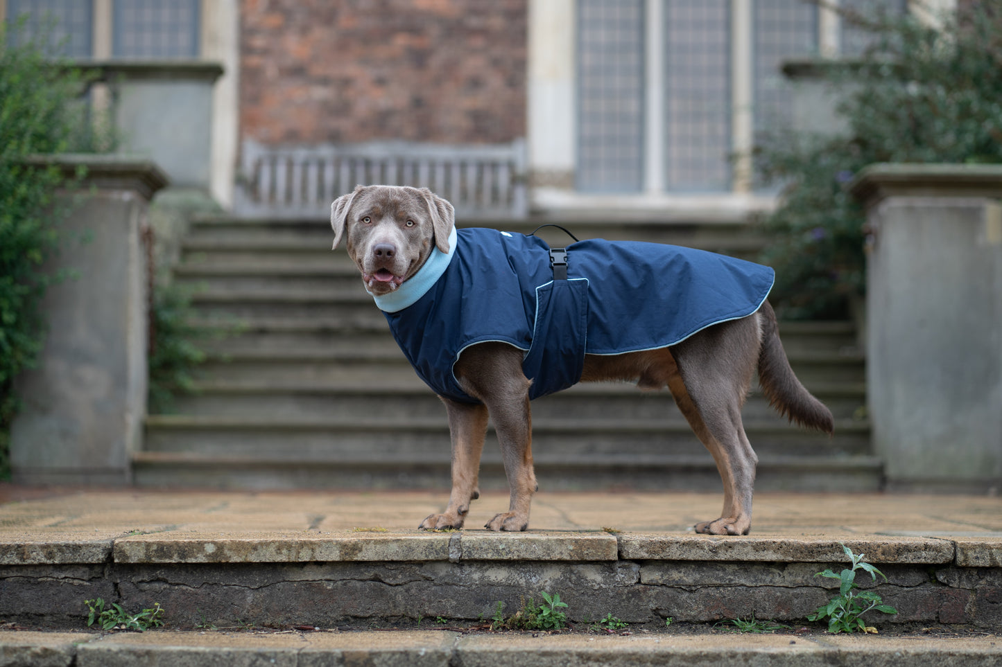 Navy Full Tummy Waterproof Jacket with Fleece Lining
