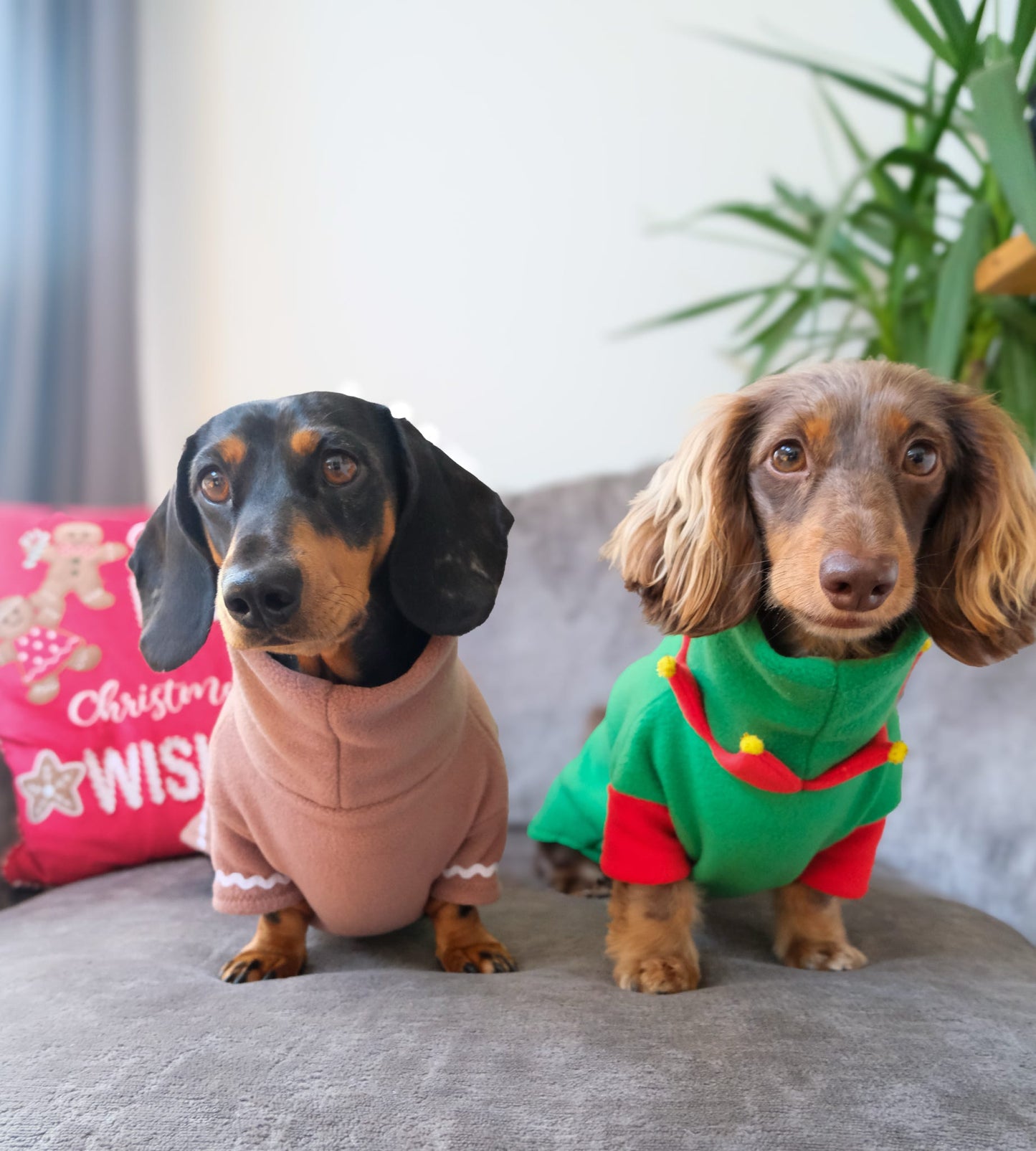 Elf Fleece Jumper