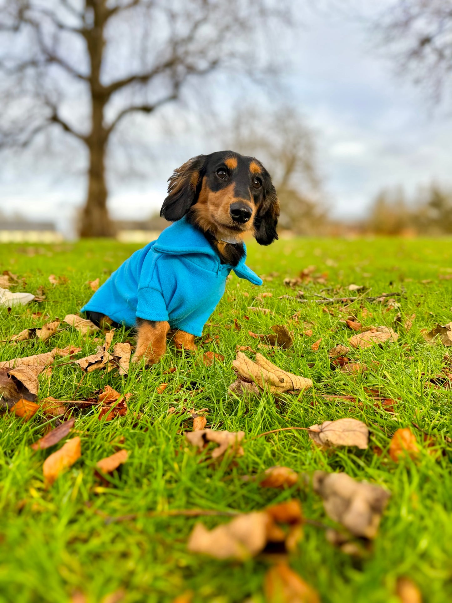 Turquoise Quarter Zip Fleece Jumper