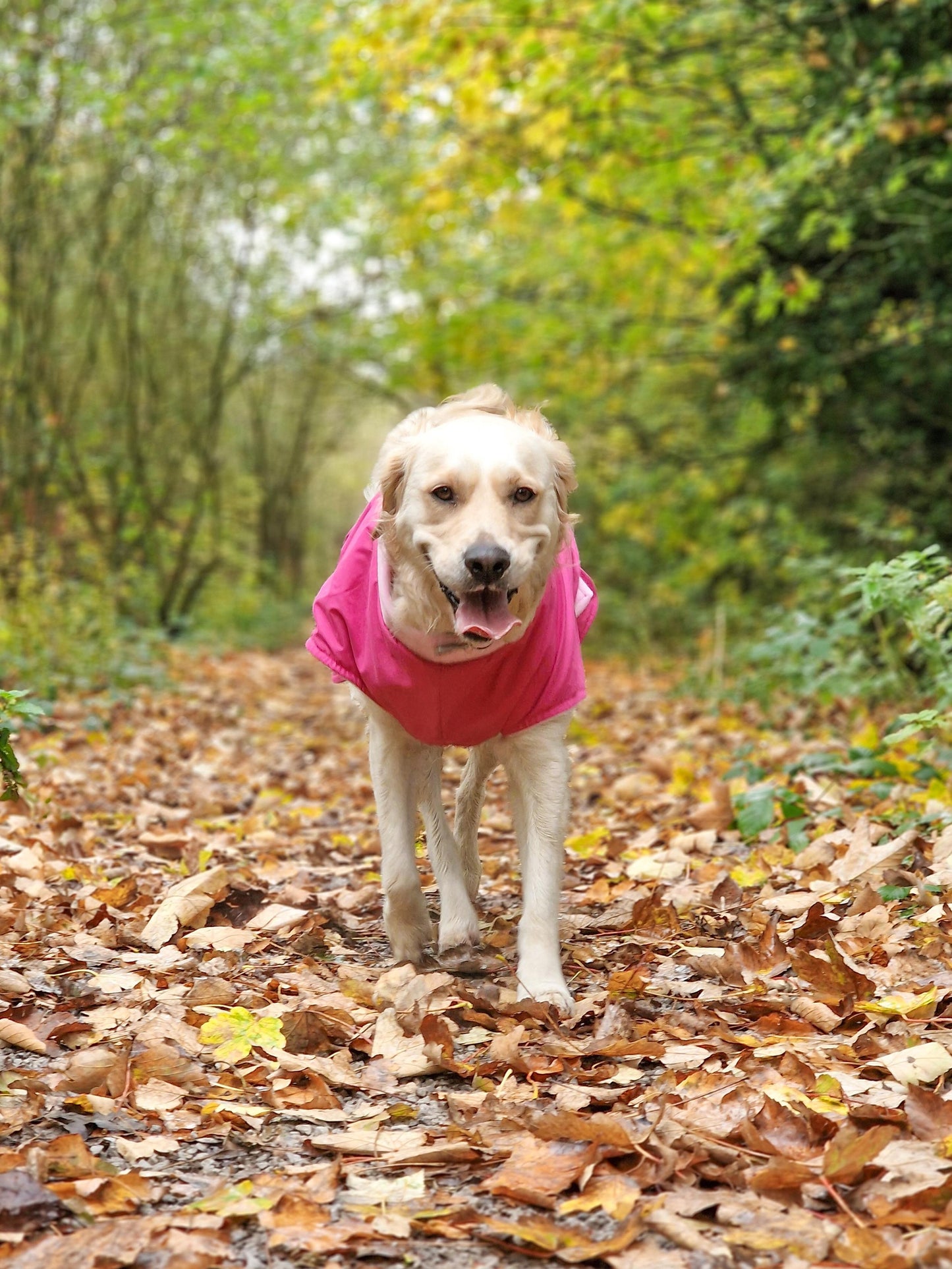 Berry Full Tummy Waterproof Jacket with Fleece Lining