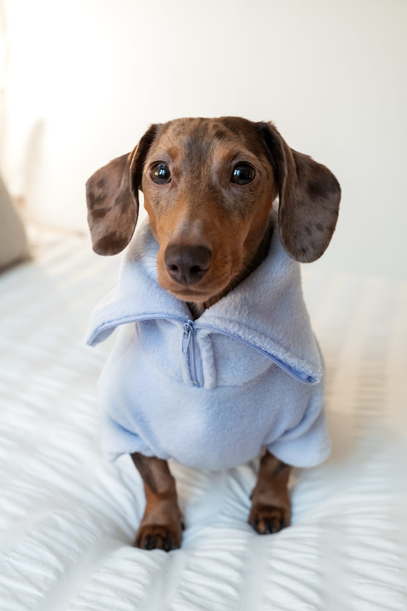 Bluebell Quarter Zip Fleece Jumper