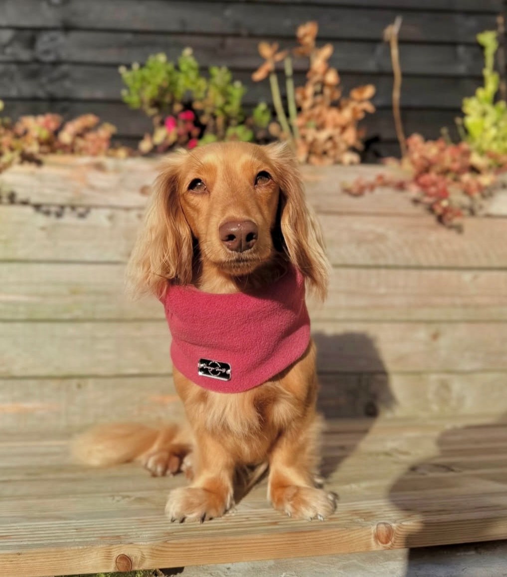 Raspberry Fleece Snood