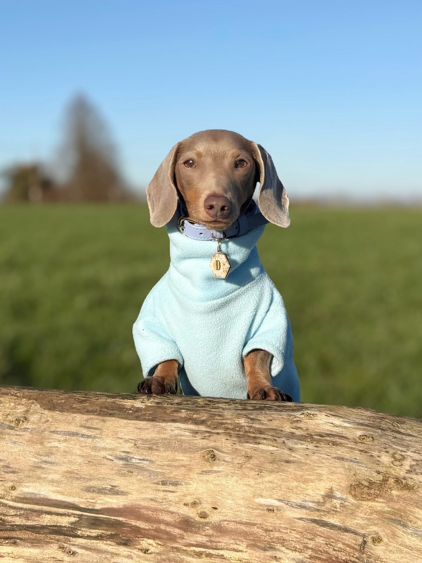 Sky Blue Fleece Jumper