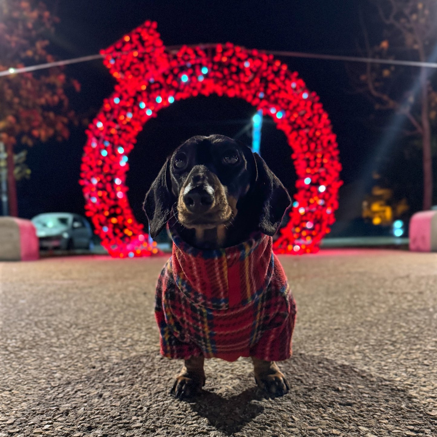 Red Tartan Fleece Jumper
