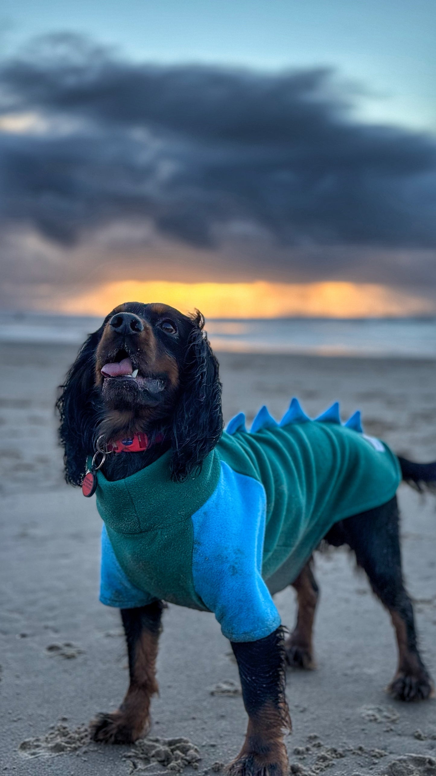 Jurassic Bark Fleece Jumper