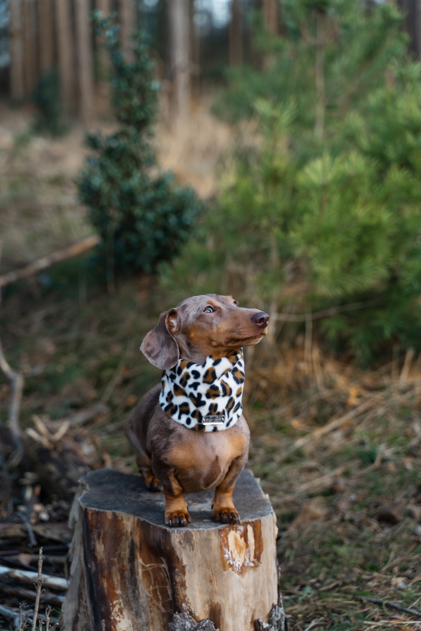 Snow Leopard Fleece Snood