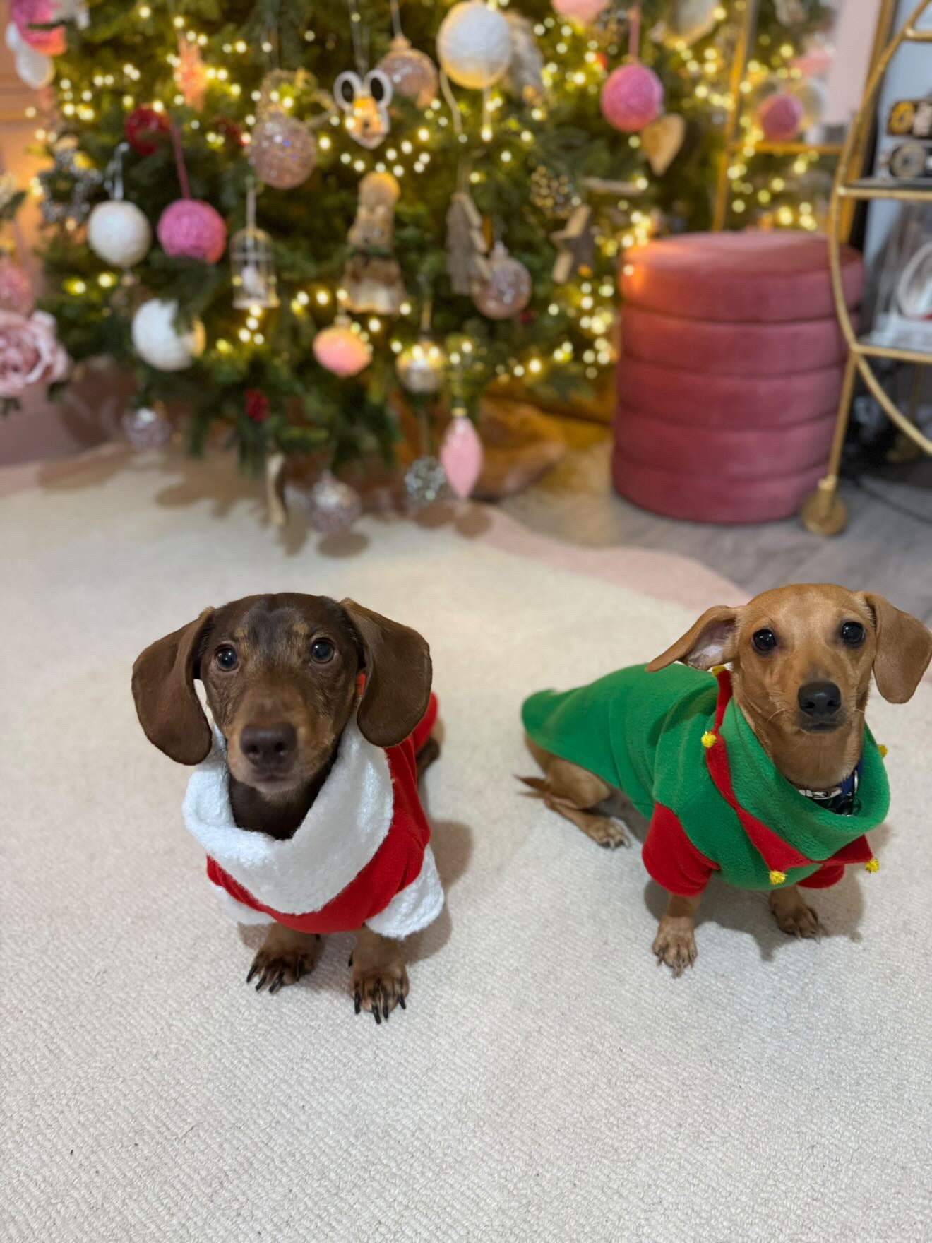Santa Paws Fleece Jumper