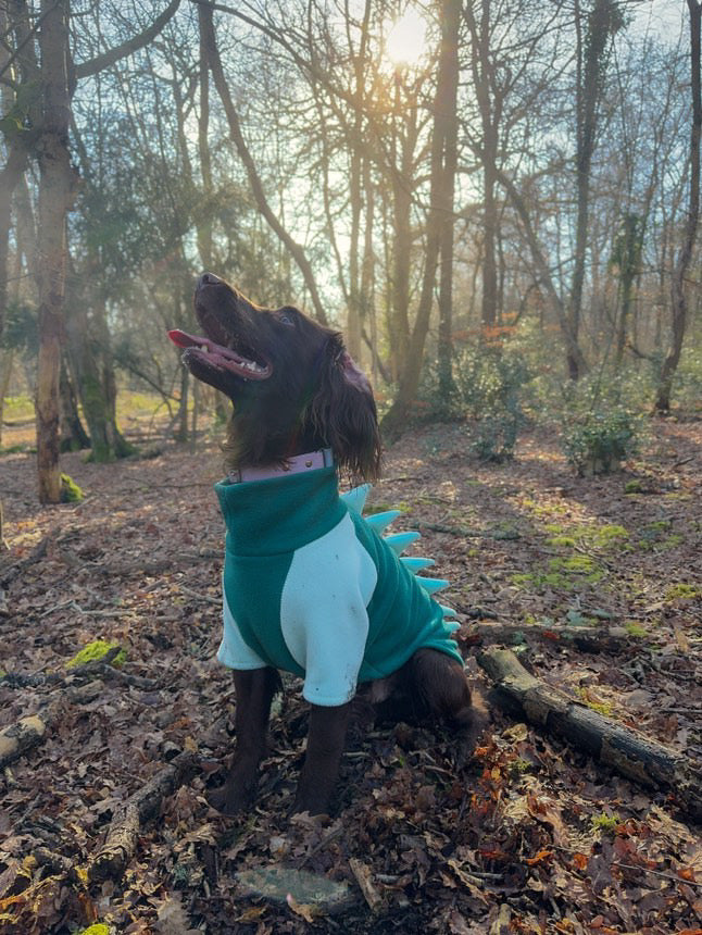 Jurassic Bark Fleece Jumper