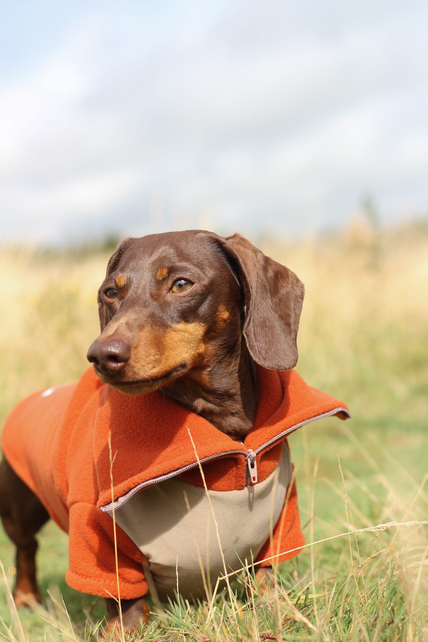 Rust Quarter Zip Fleece Jumper