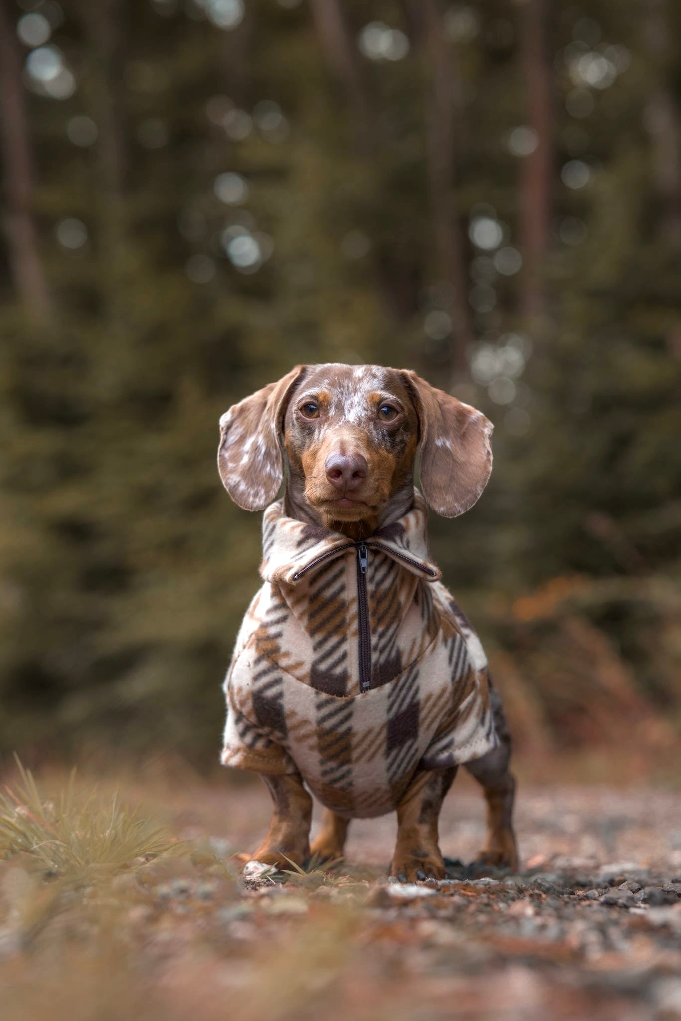 Brown Plaid Quarter Zip Fleece Jumper