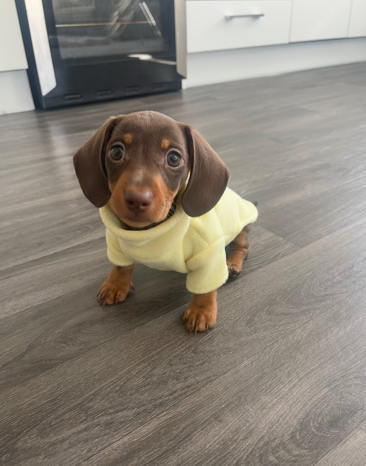 Lemon Fleece Jumper