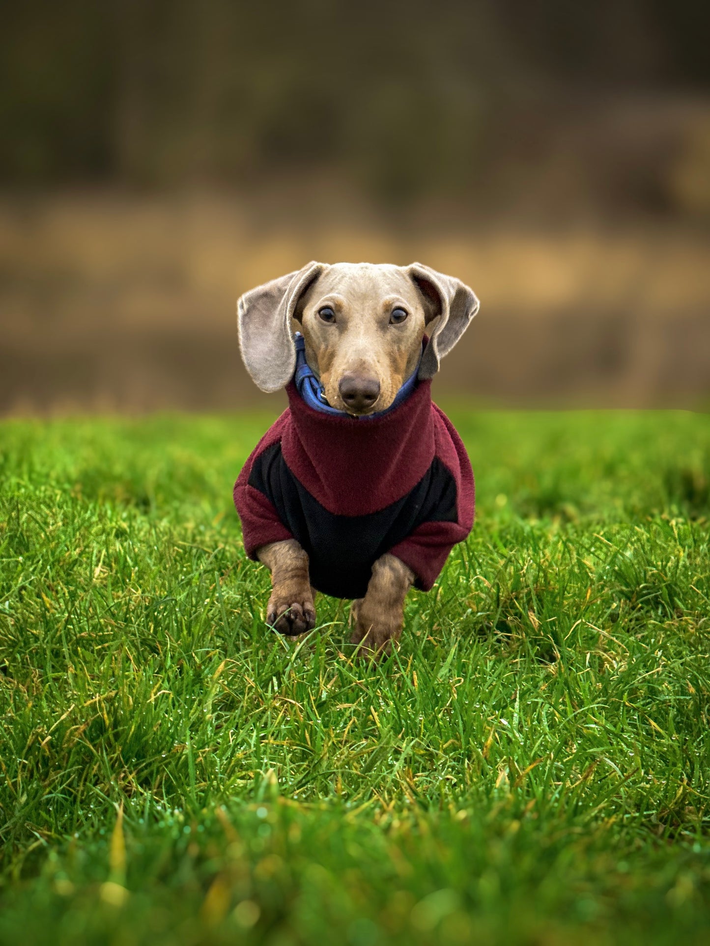 Wine Fleece Jumper