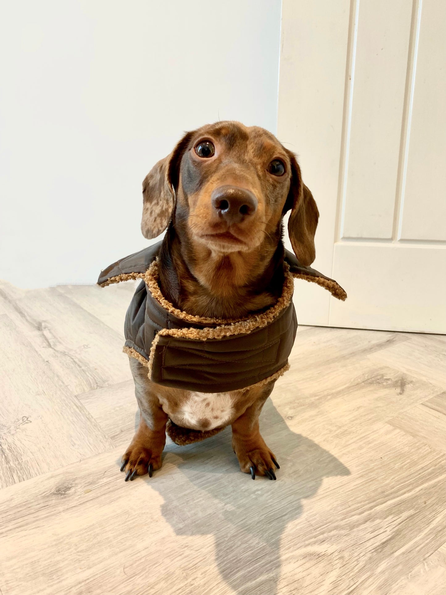 Chocolate Quilted Coat with Borg Lining