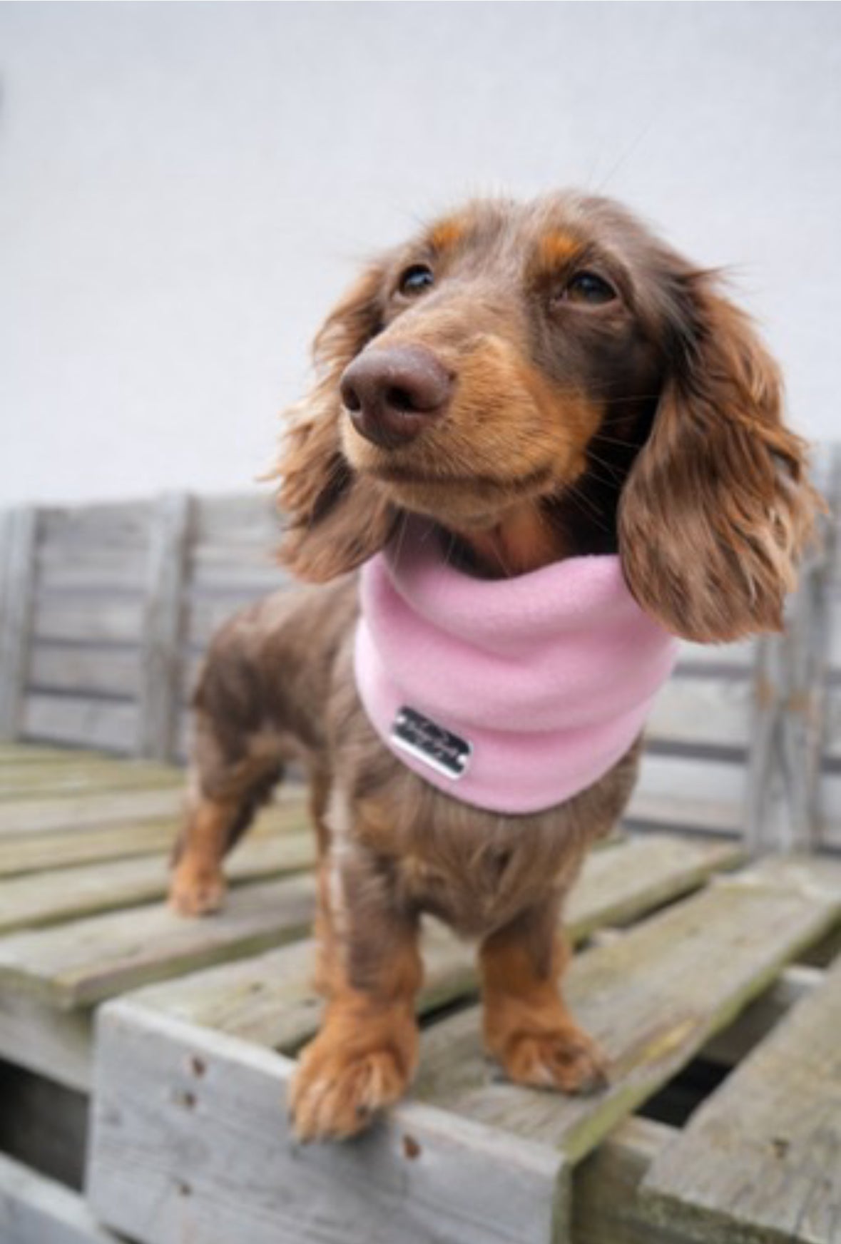 Baby Pink Fleece Snood