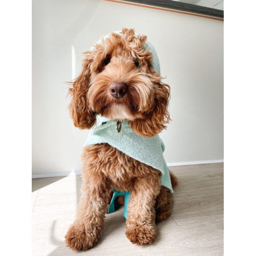 Mint Drying Robe