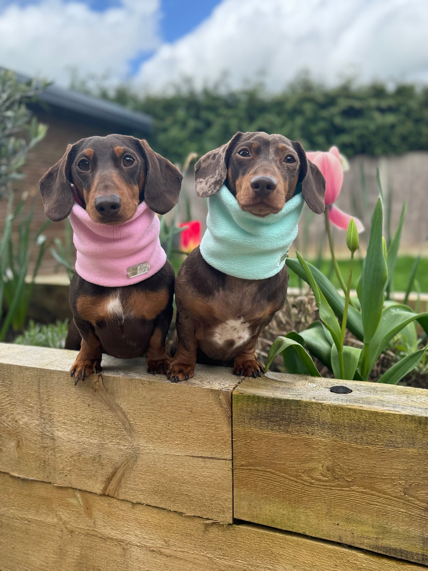 Mint Fleece Snood