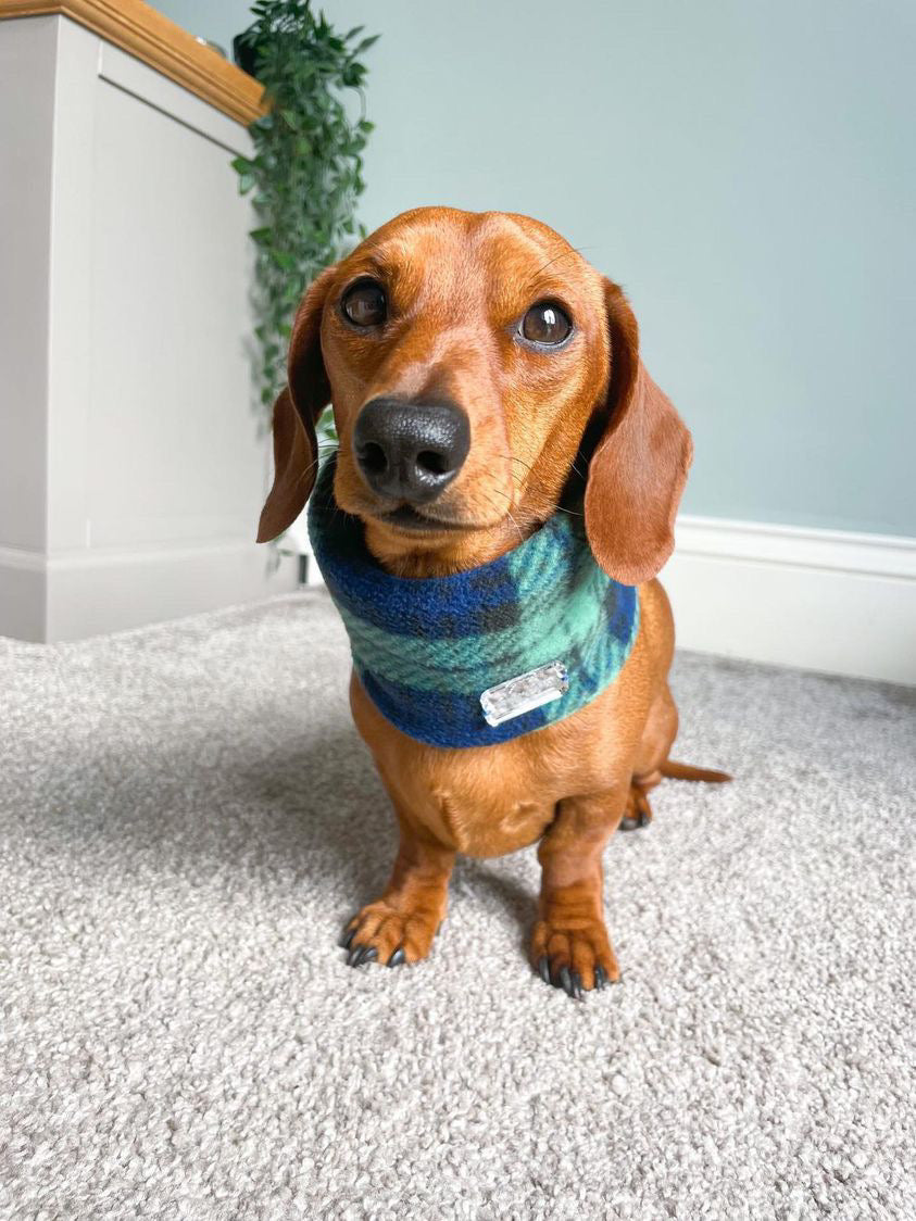 Navy Tartan Fleece Snood