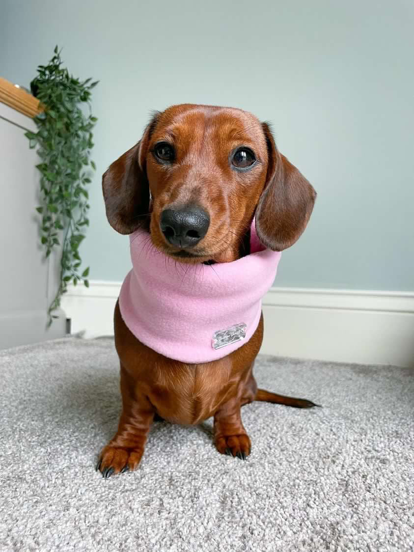 Baby Pink Fleece Snood