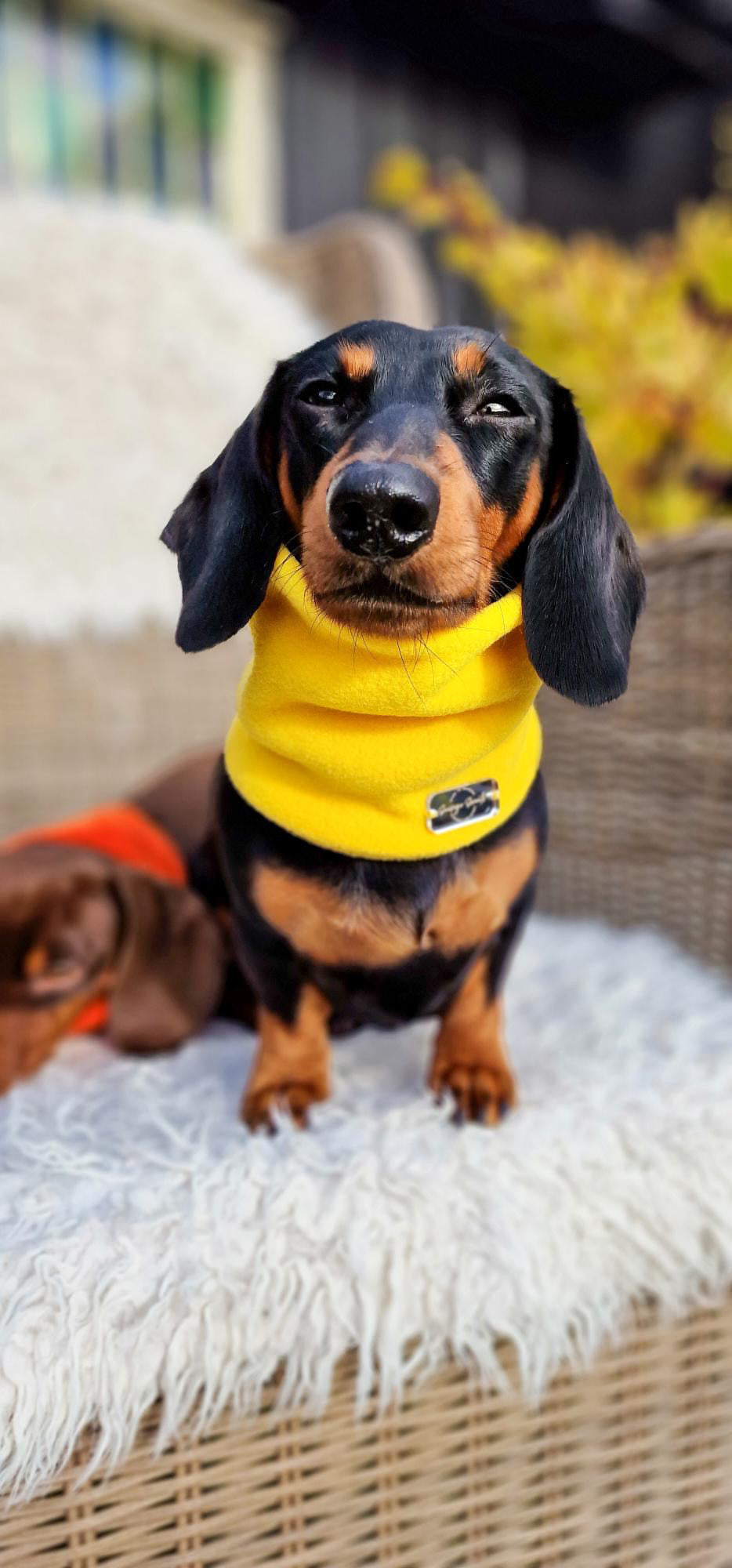 Canary Yellow Fleece Snood