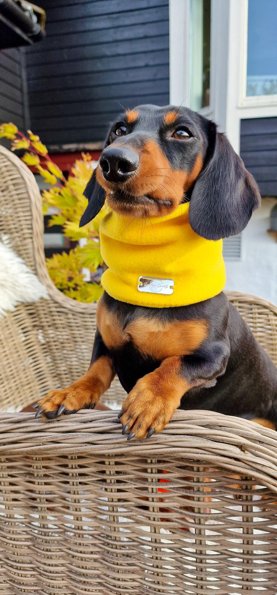 Canary Yellow Fleece Snood