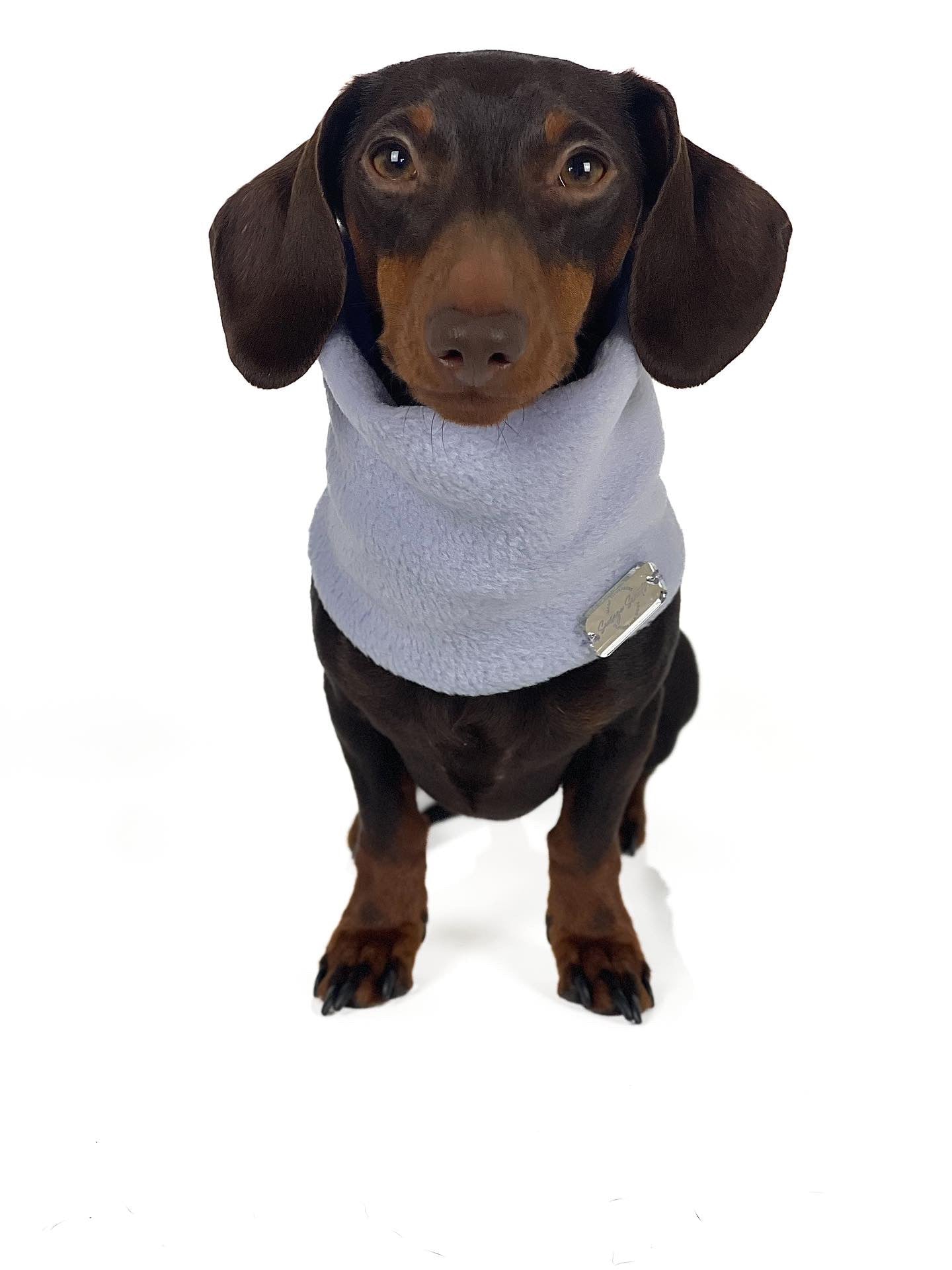 Bluebell Fleece Snood