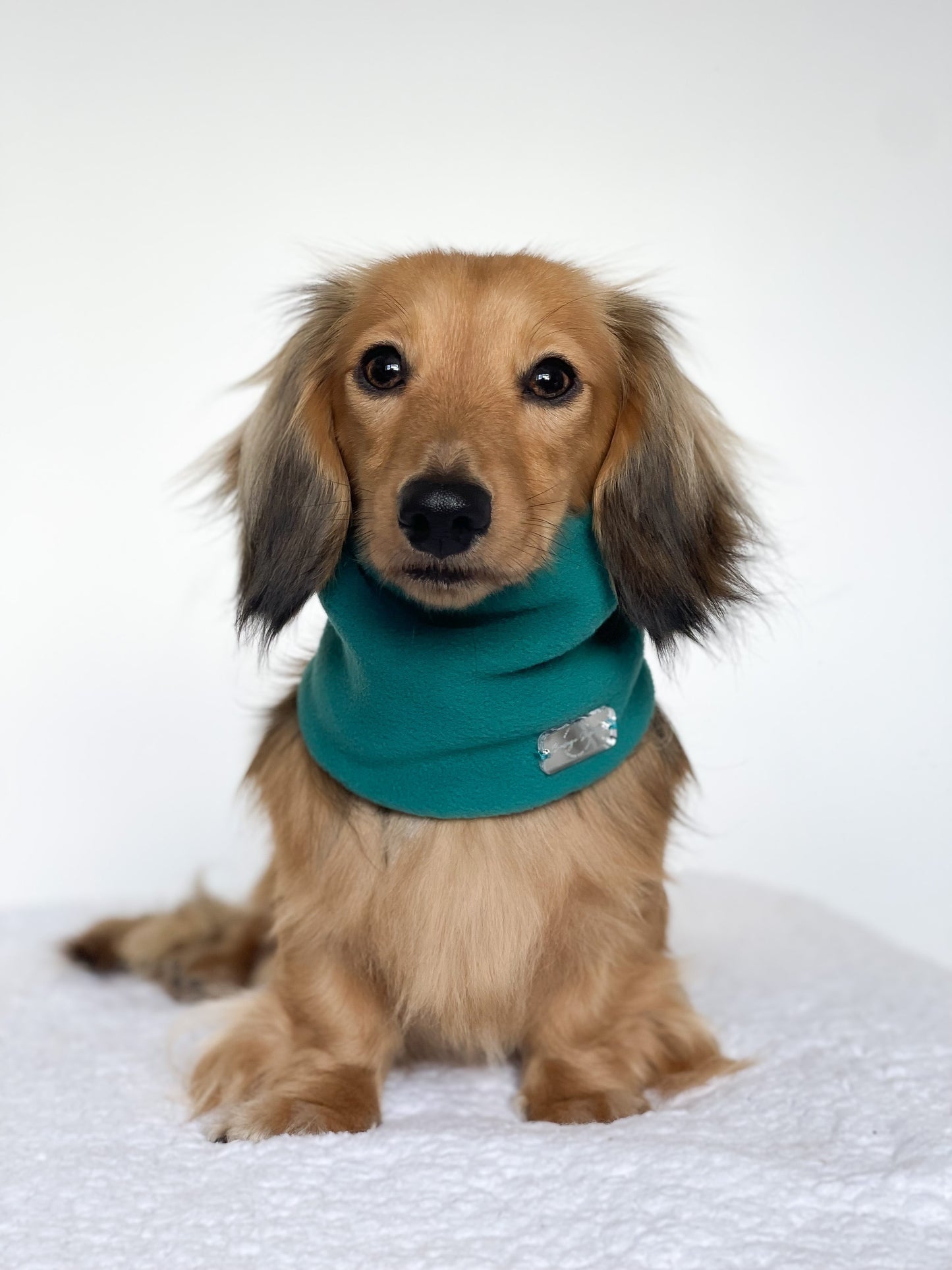 Teal Fleece Snood