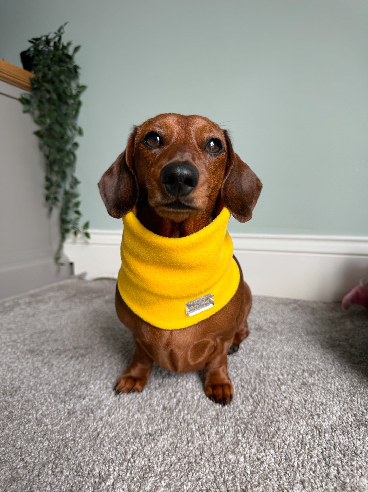 Canary Yellow Fleece Snood