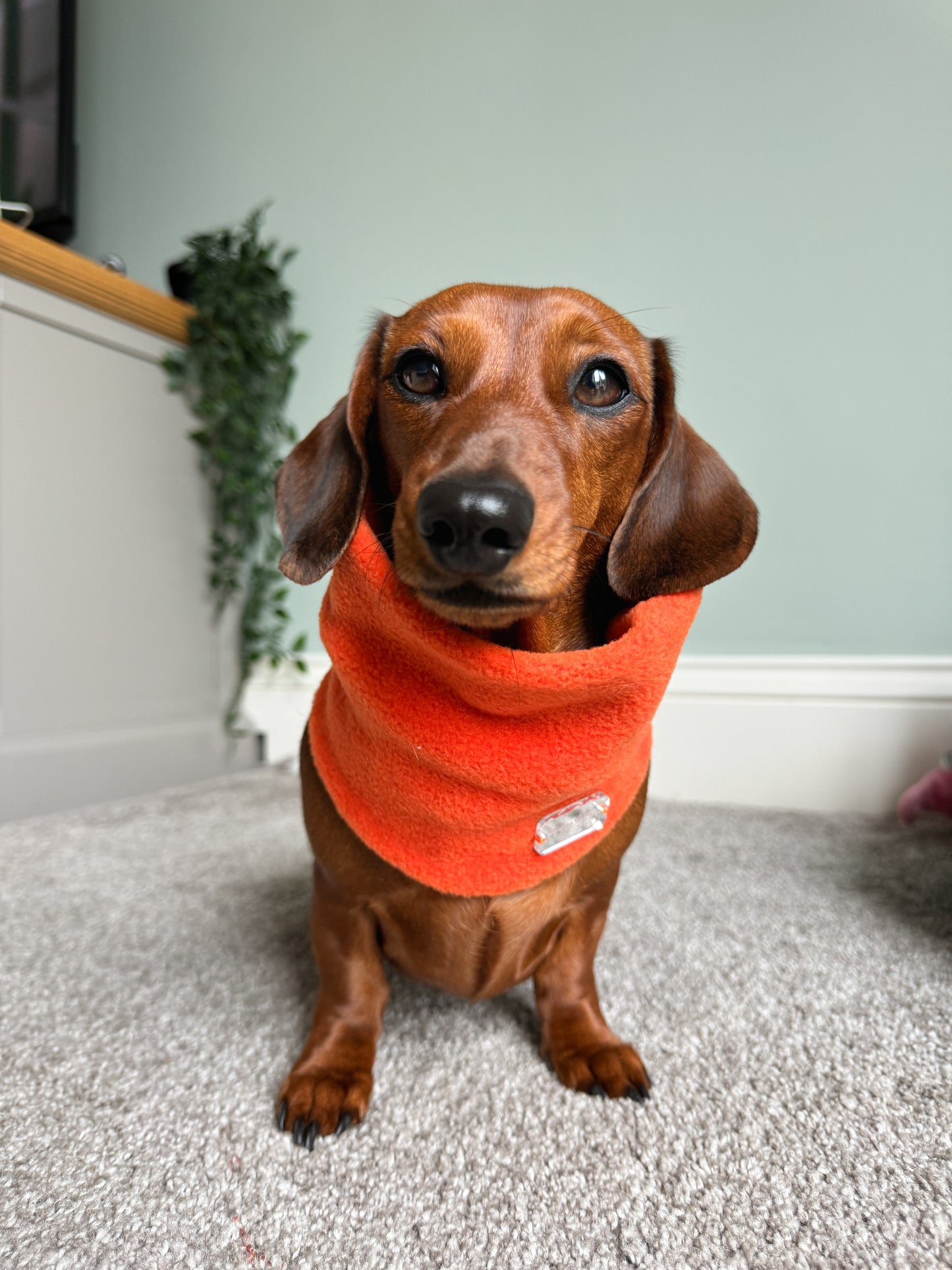 Orange Fleece Snood