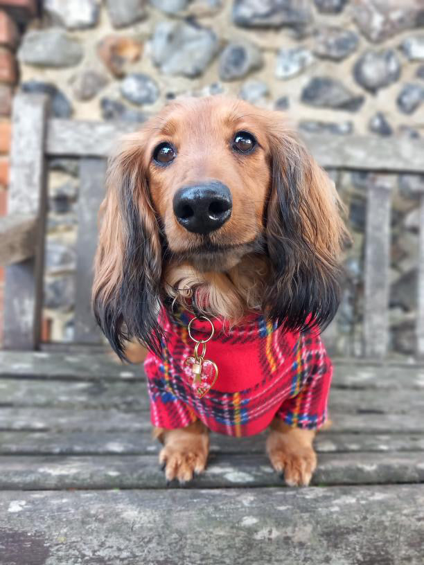Red Tartan Fleece Jumper