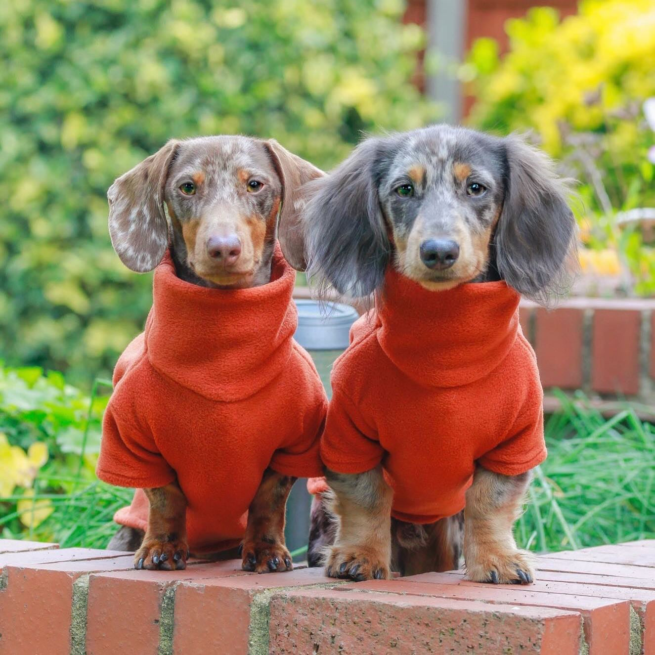 Rust Fleece Jumper