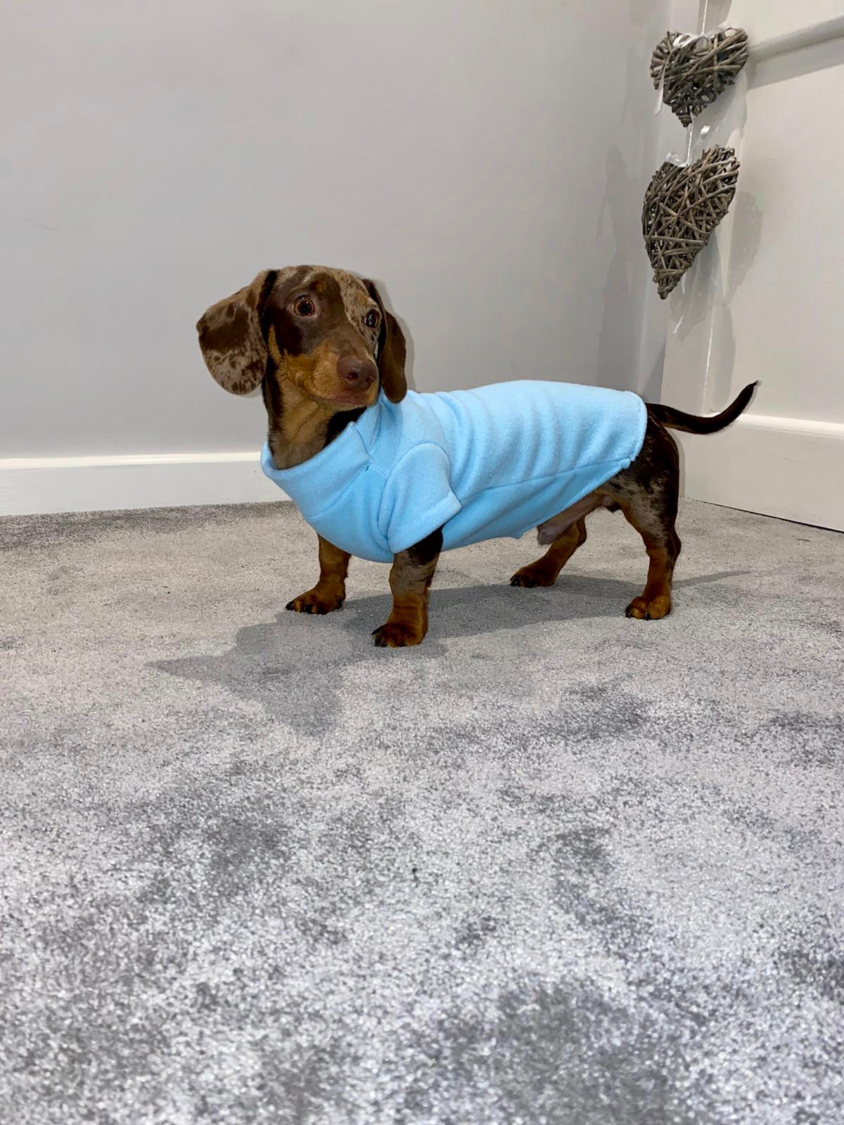 Sky Blue Fleece Jumper