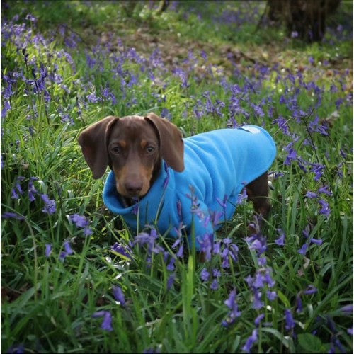 Turquoise Fleece Jumper