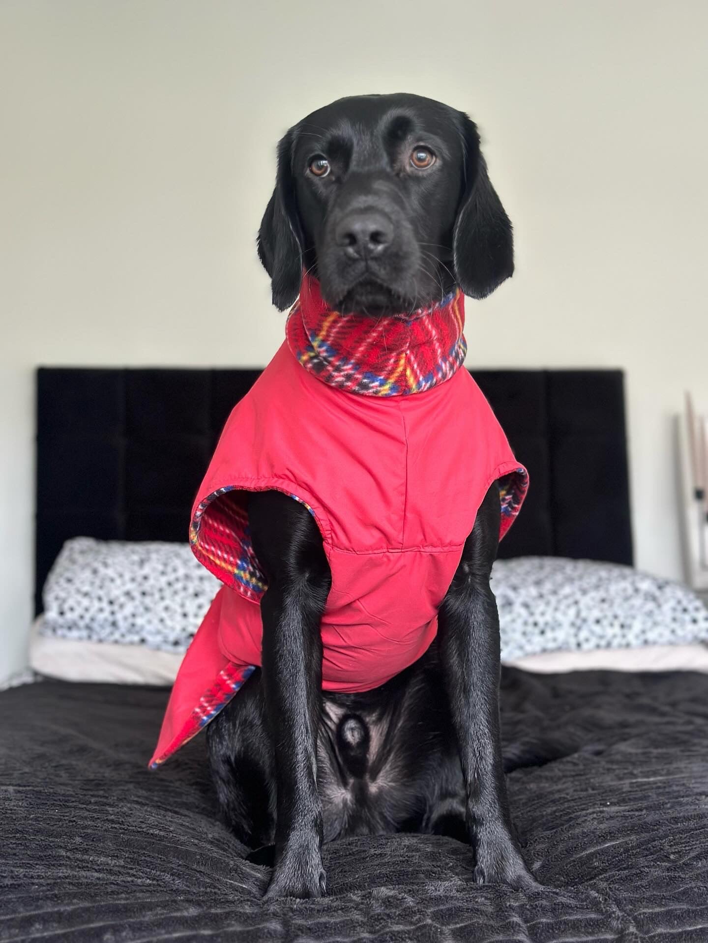 Red Full Tummy Waterproof Jacket with Fleece Lining